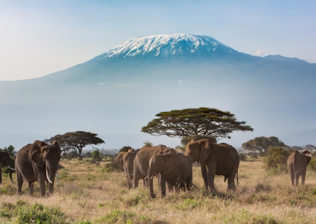 Kilimanjaro Climb Gallery